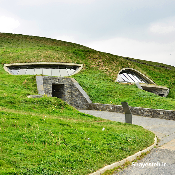 Moles happy as homes go underground